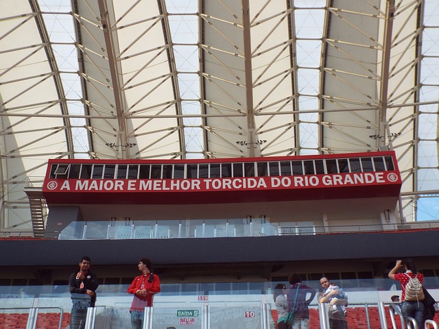 他们的未来 他们的未来