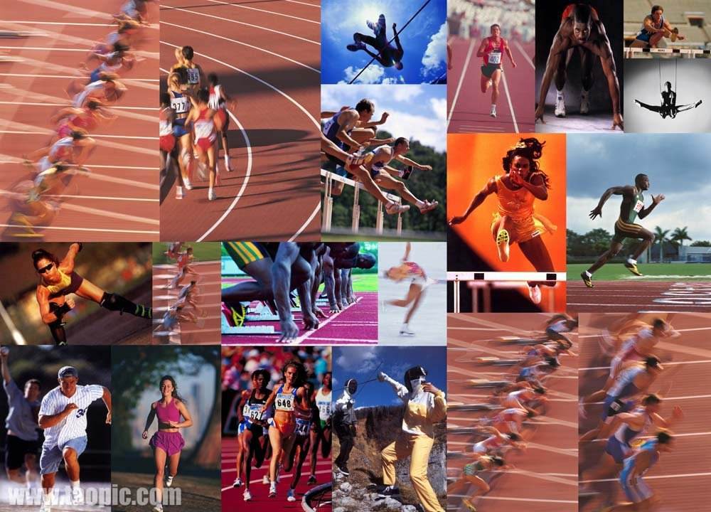 的未来将牵 的未来将牵