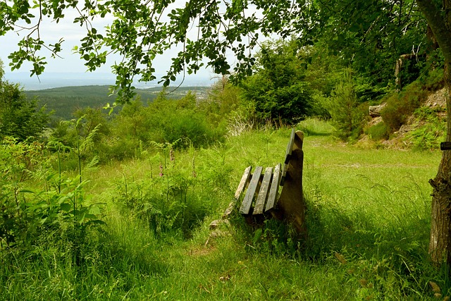 他不仅是曼 他不仅是曼